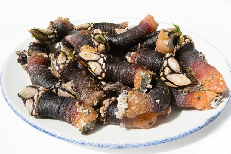 Percebes Restaurante La Rampa 768x512