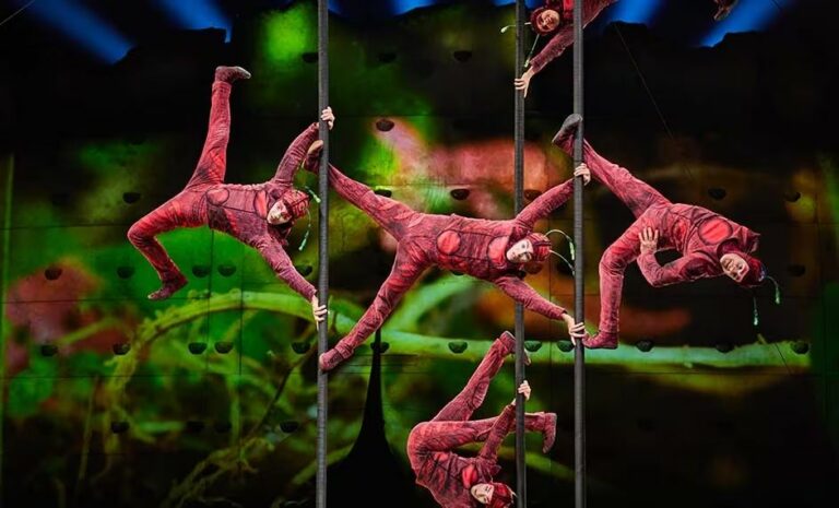 Circo del Sol Donostia Hormigas Asombrosas 768x465