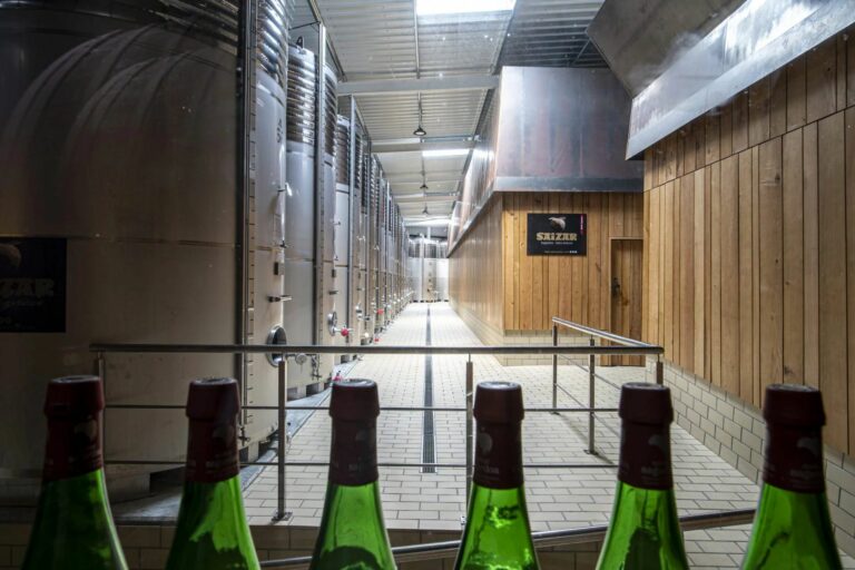 Saizar Sidreria 768x512